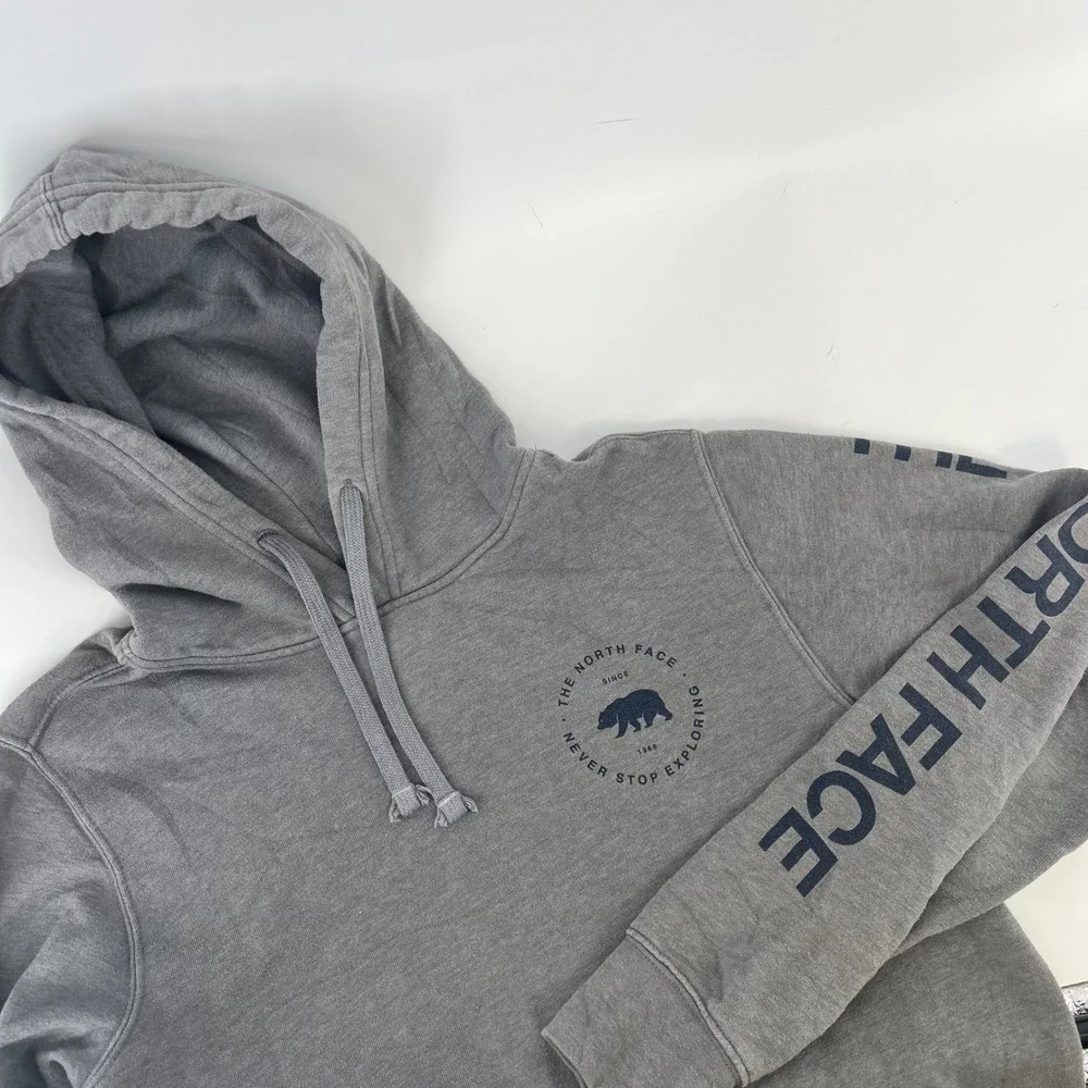 The North Face Mens Gray Bear Graphic Sleeve Logo Pullover Hoodie Small
